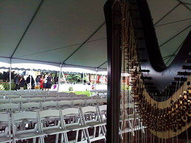 Saugatuck Michigan Wedding Harpist