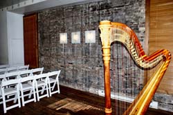 Chicago Wedding Harpist