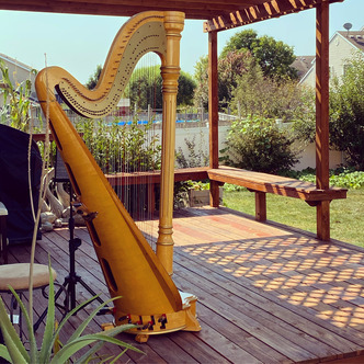 Des Moines Harpist for Weddings