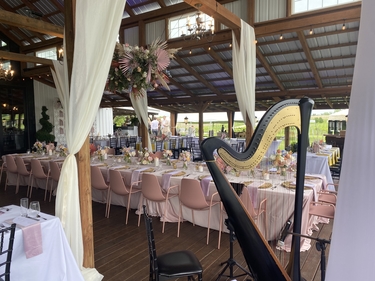Des Moines Wedding Harpist