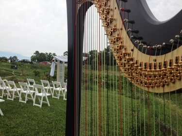 Eau Claire Wedding Harpist