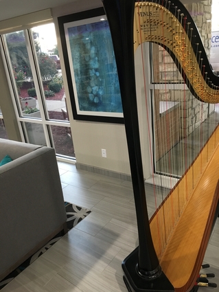 Hotel Grand Opening - Harp Music in Effingham, IL