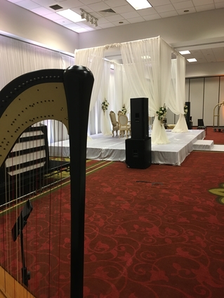 Des Moines Wedding Harpist