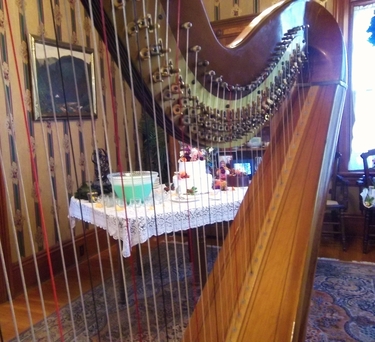Indianapolis Wedding Harp Player