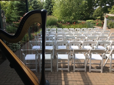 Wedding Harpist in Traverse City