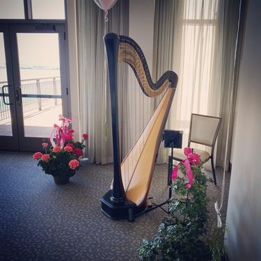 madison harpist for weddings