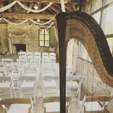 Upper Peninsula Wedding Harpist