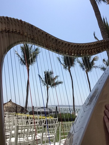 puerto vallarta wedding harpist