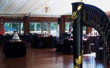 Meyers Castle Wedding Reception with Harp Music