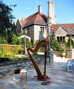 Chicago Harpist for Weddings in Northwest Indiana