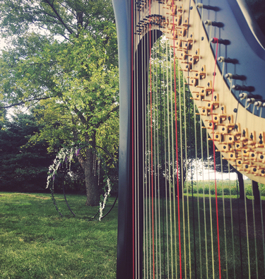 Minnesota Wedding Harpist Albert Lea