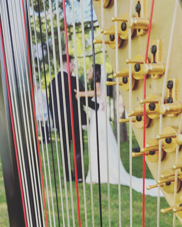 Biloxi Wedding Harpist