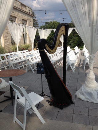 Wedding Ceremony at Morton Arboretum - Harpist