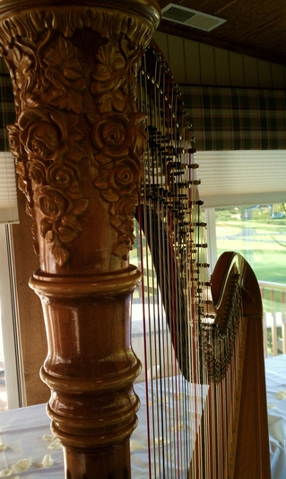 Country Club Wedding Musician - Indiana Harp and Violin