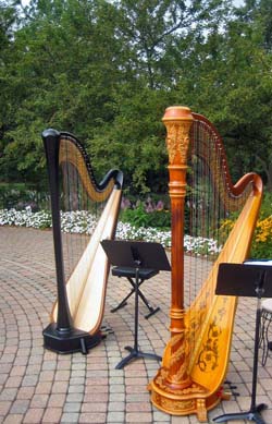 Ogden Gardens Valparaiso Wedding Harpist