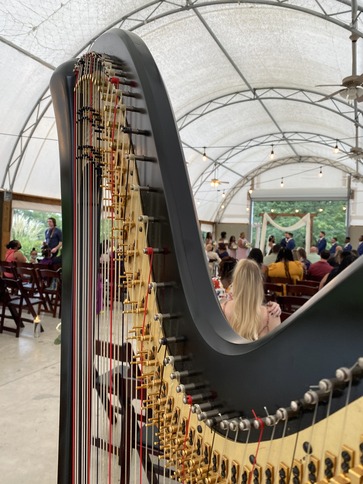 Peoria Harpist