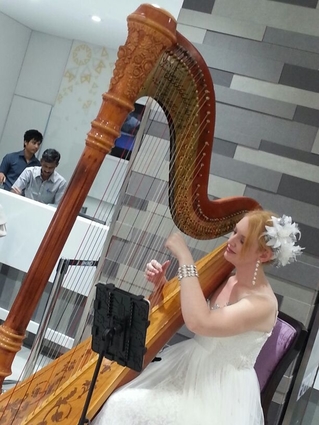 Bollywood Musician Harp India