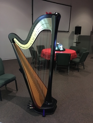 Davenport Harp Player for Christmas Open House