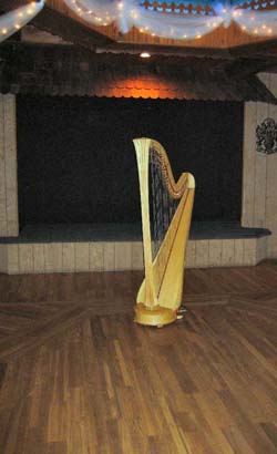 Chicago Wedding Harpist - Live Music for Receptions