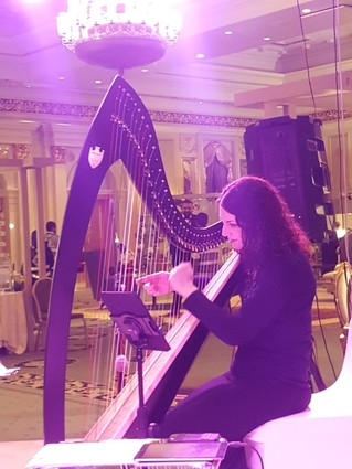Troubadour Lever Harp