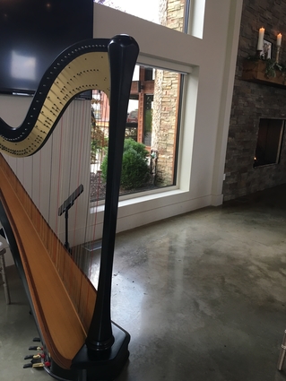 Harp Player Champaign Urbana Illinois