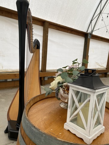 Harpist in Peoria IL
