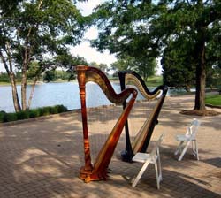 Northwest Chicago Wedding Harpist Suburbs