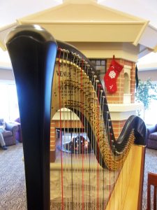 Granger harpist