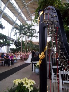 St. Louis Harpist for Weddings at the Jewel Box