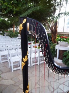 St. Louis Wedding Harpist - Jewel Box Ceremony