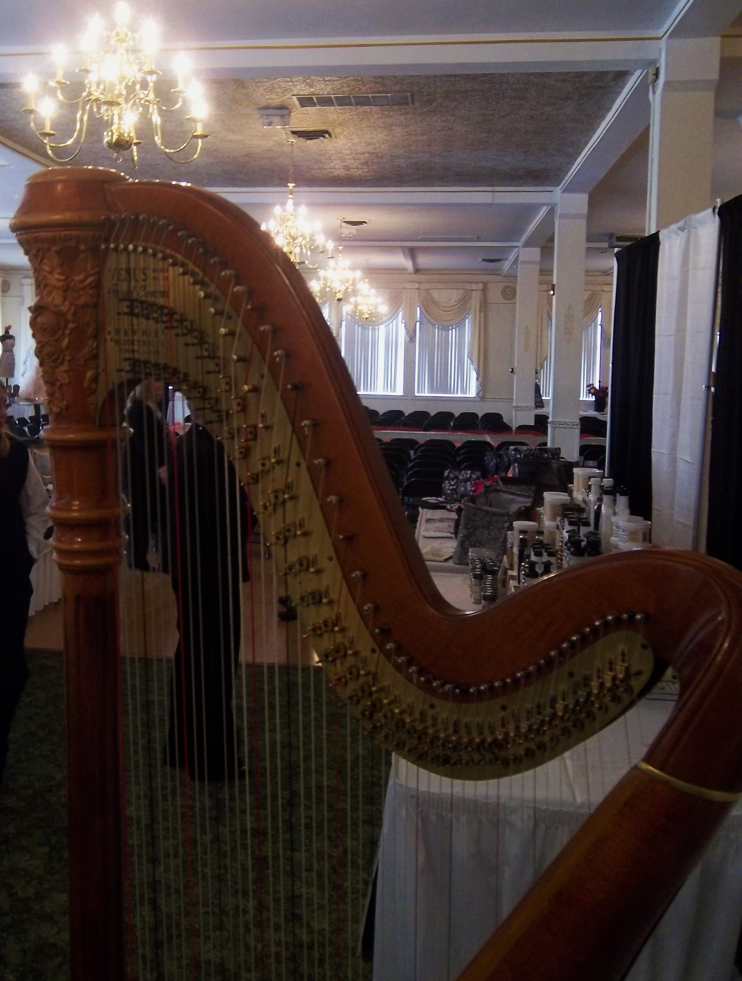 Harp Player Central Illinois