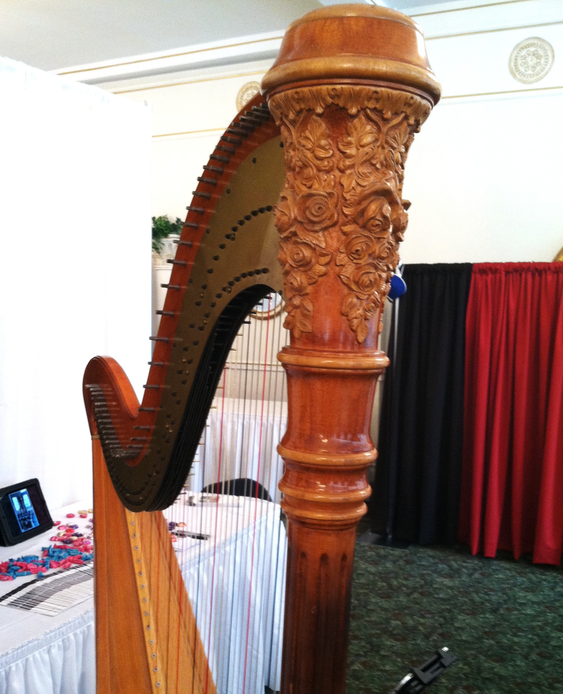 Central IL Wedding Harpist