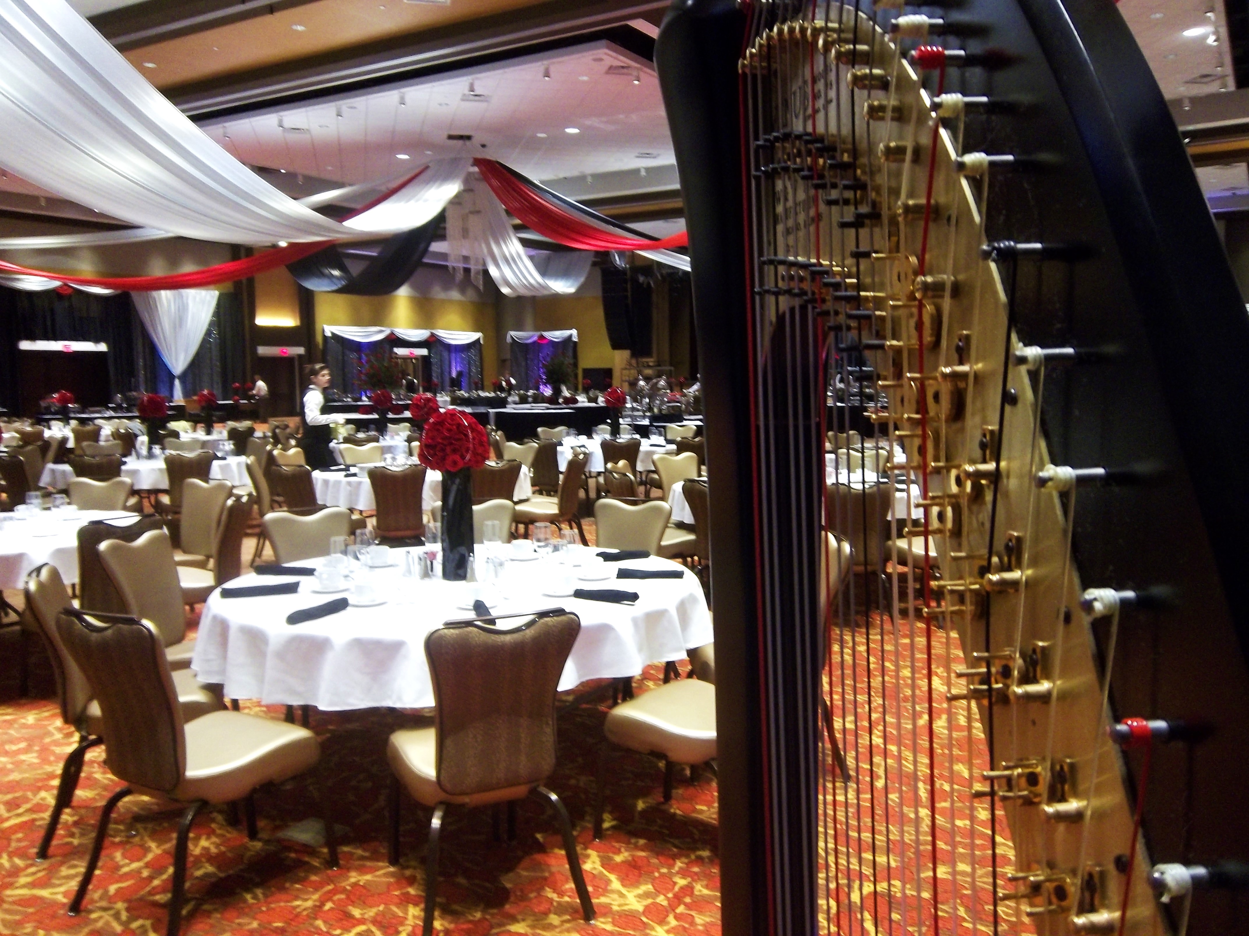 Southwest MI Harpist Four Winds Casino