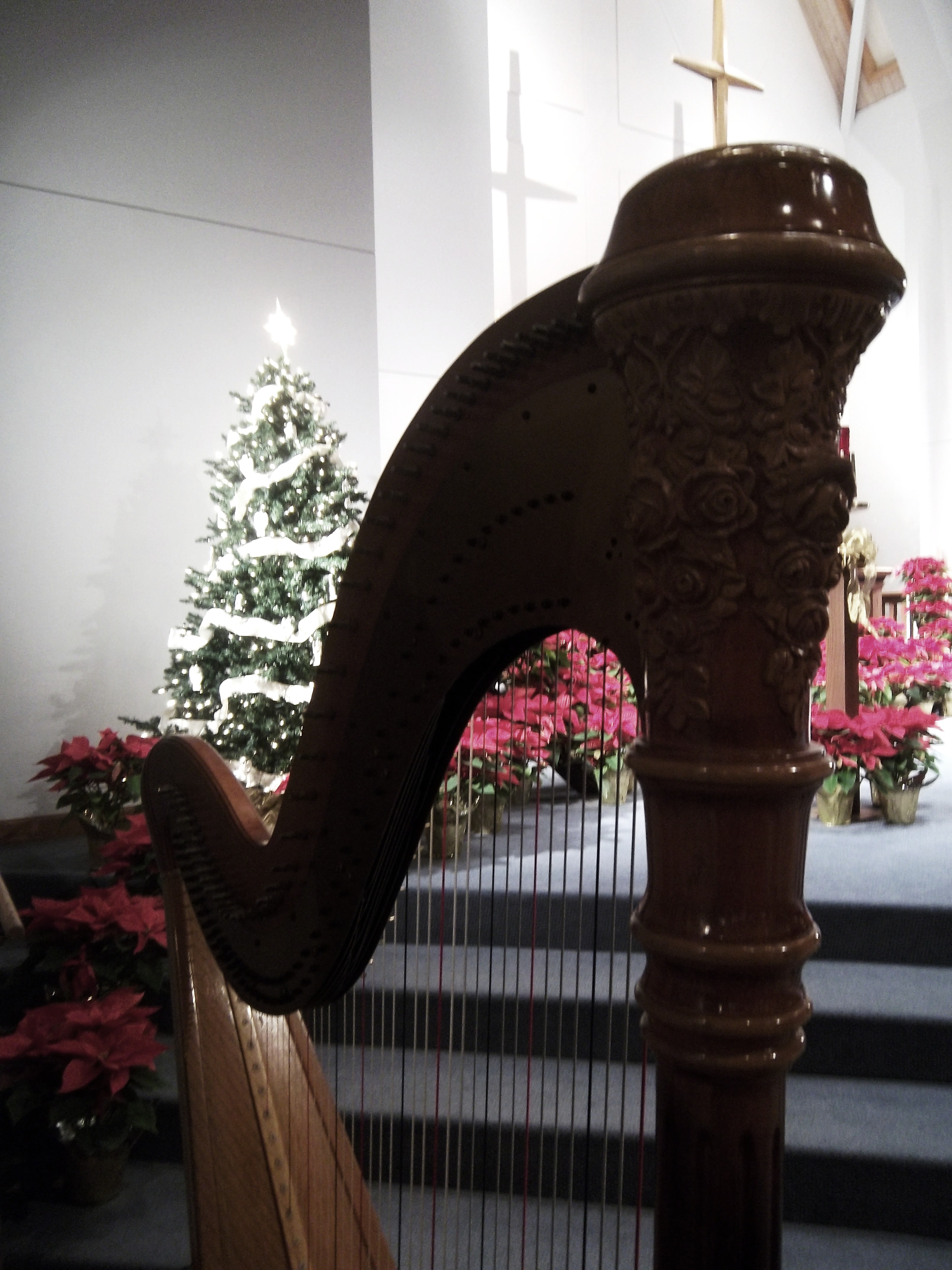 Peoria Harpist