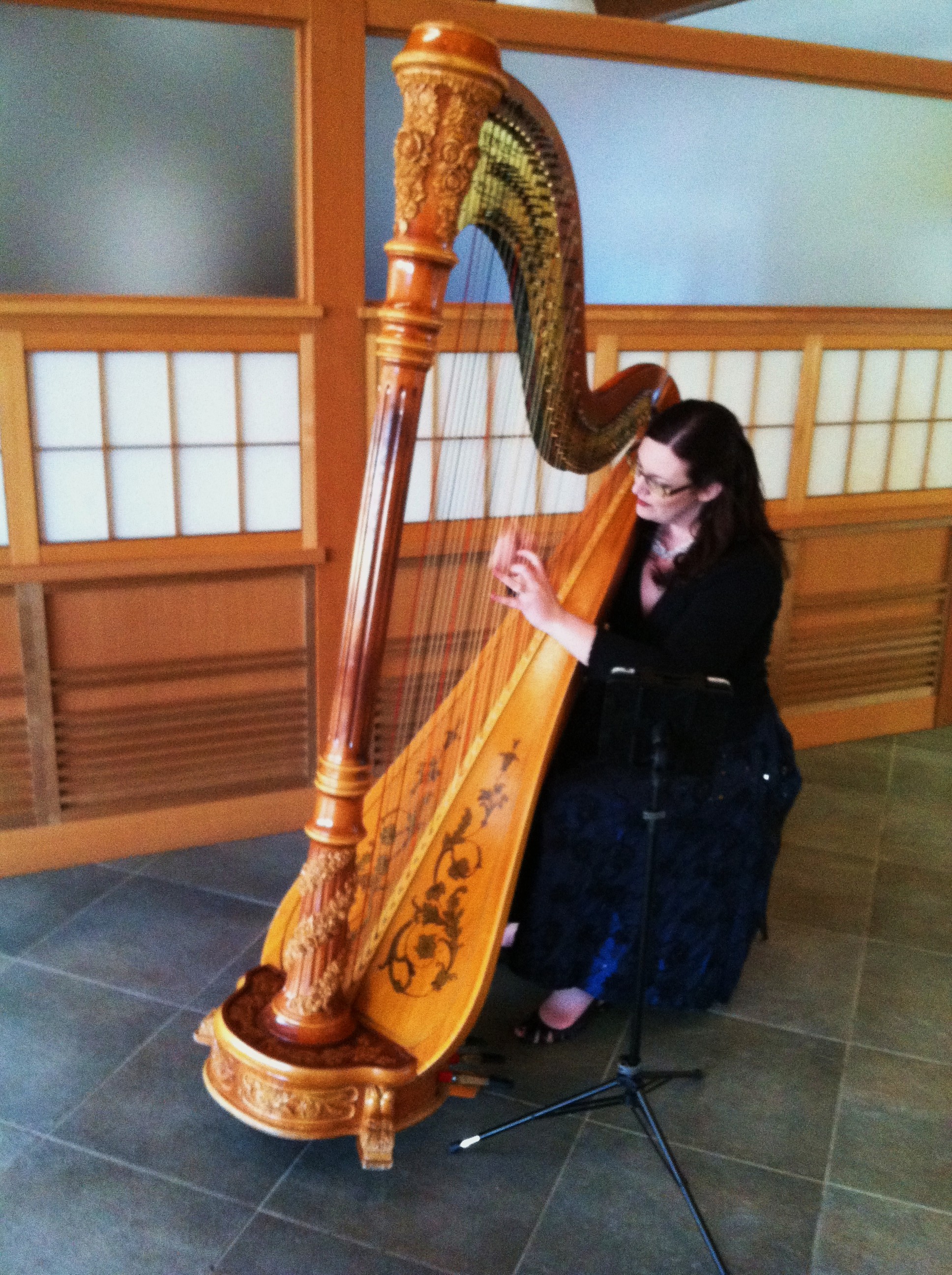Northern Illinois Harpist 