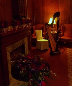 Sheboygan Harpist for Weddings