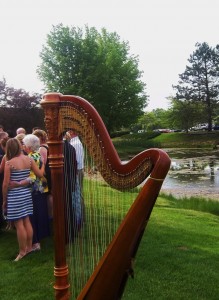 Harpist in Southwest Michigan
