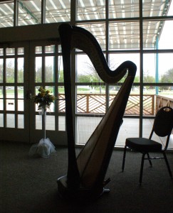 Southwest Michigan Wedding Harpist