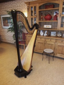 Terre Haute Harpist