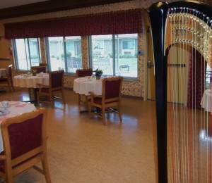 Terre Haute Harpist for Hire