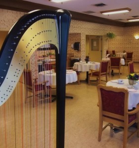 Western Indiana Harpist for Events