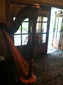 Canton Wedding Harpist Gervasi