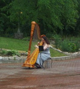 Chicago Wedding Harp Player