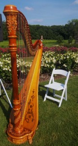 Wedding Harpist Chicago Cantigny Park Ceremony