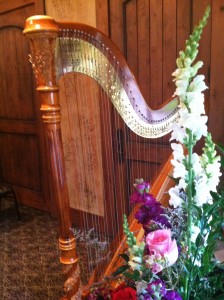 Cleveland Harpist Wedding Gervasi