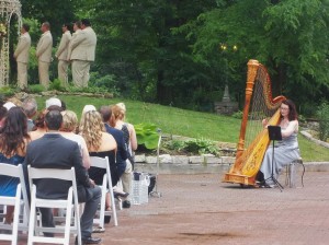 Northwest Indiana Wedding Ceremony Music Harpist