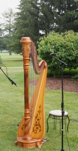 Plymouth IN Harpist
