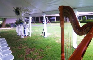 Beloit Wisconsin Wedding Harpist