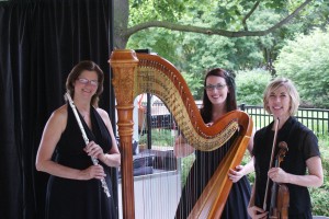 Chicago Wedding Music Trio Harp Flute Violin