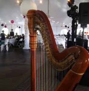 Wedding at The Rail Springfield IL Harp Player